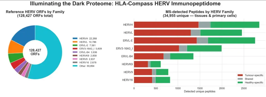 Illuminating the Dark Proteome: HLA-Compass HERV Immunopeptidome chart